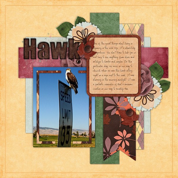 Hawk