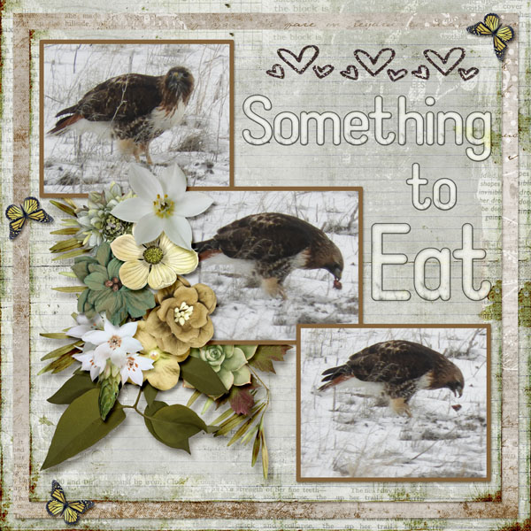 hawk_eating_small