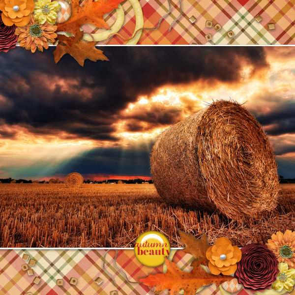 Hay Bale