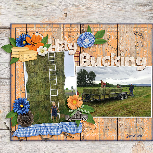 Hay Bucking