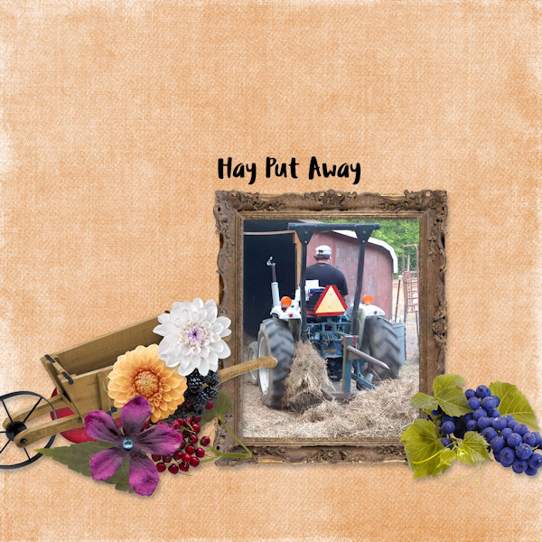 Hay Put Away