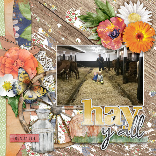 Hay-y_all