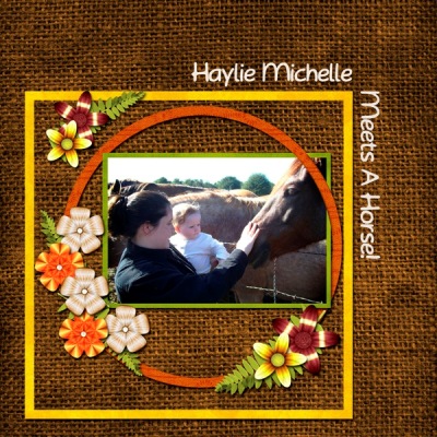 Haylie Meets A Horse