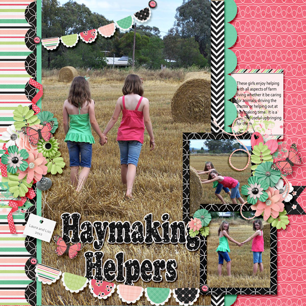 Haymaking Helpers
