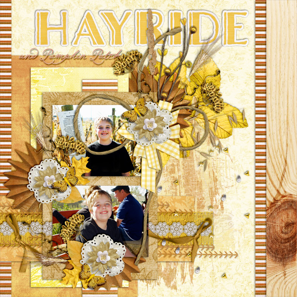 Hayride and pumpkin patch