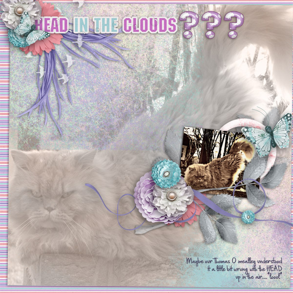 HEAD in the clouds?