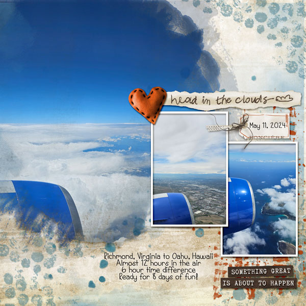 Head in the Clouds