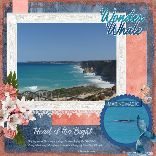 Head of the Bight