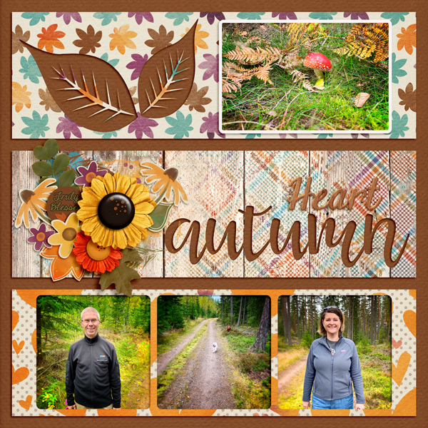 Heart Autumn