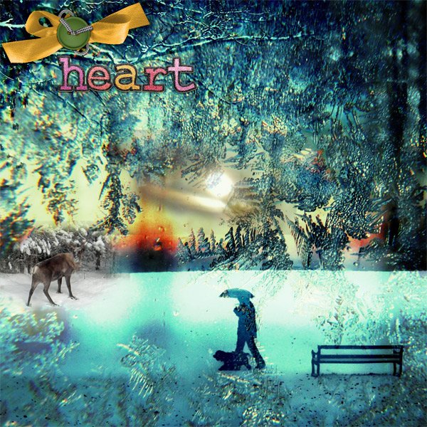 Heart.jpg