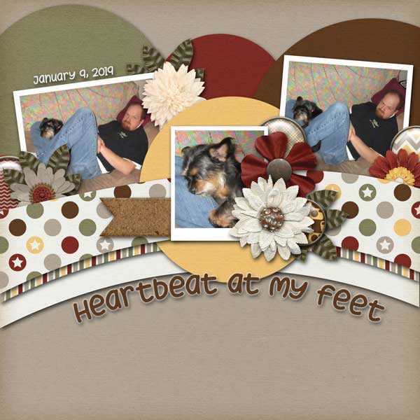 Heartbeat at my feet