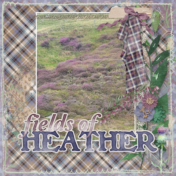 Heather