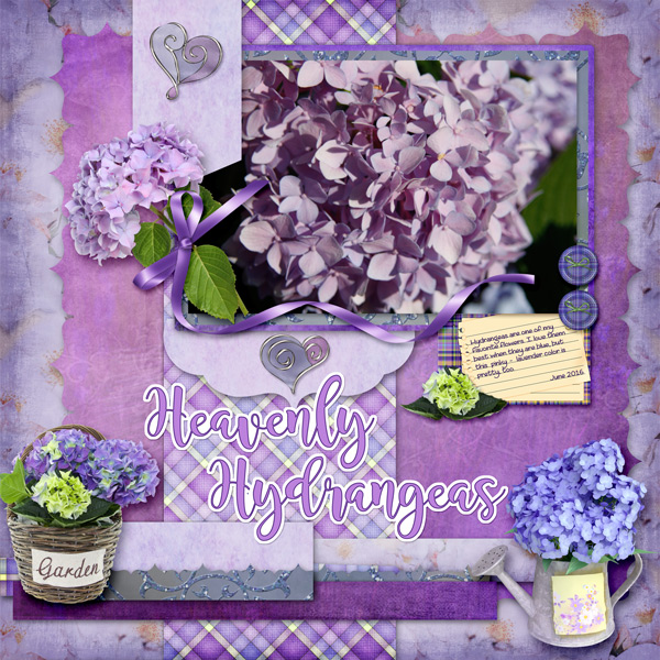 Heavenly Hydrangeas