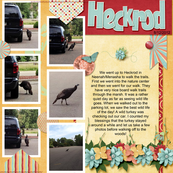 Heckrod Turkey