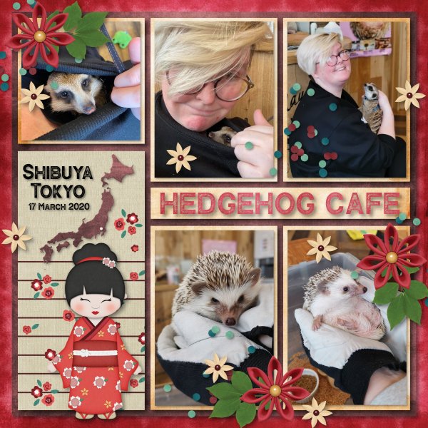 Hedgehog Cafe
