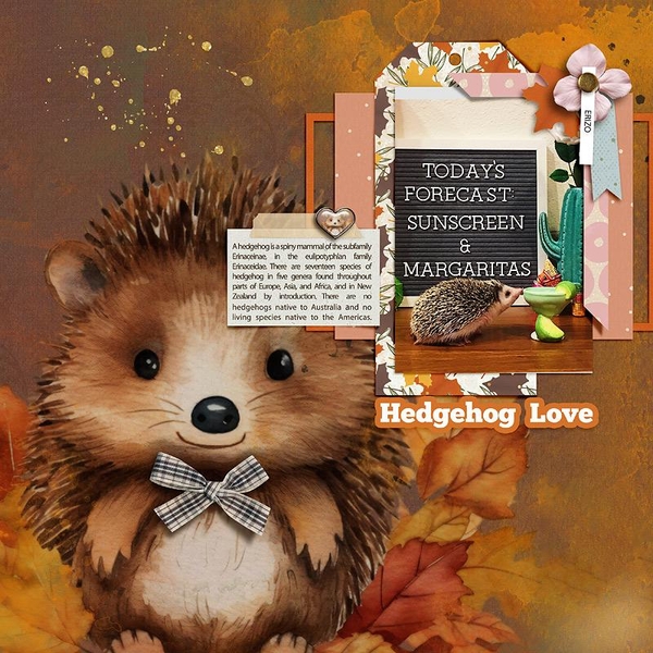 Hedgehog Love