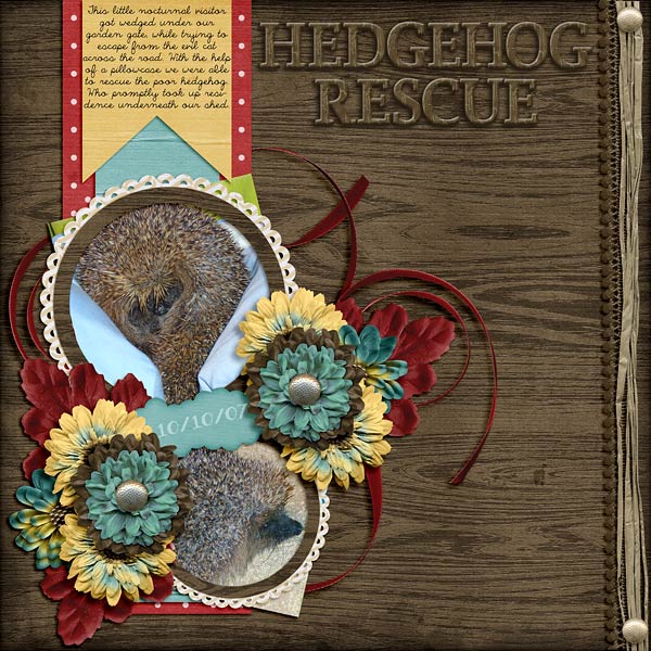 Hedgehog Rescue