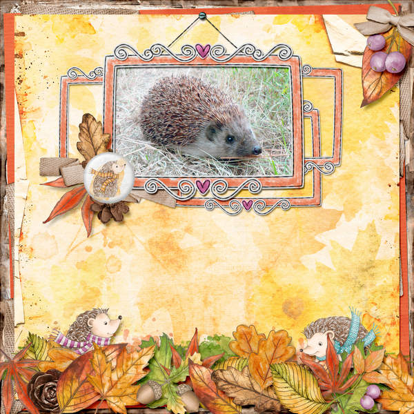 Hedgehog