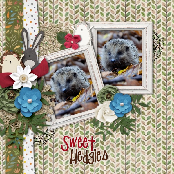 Hedgehogs