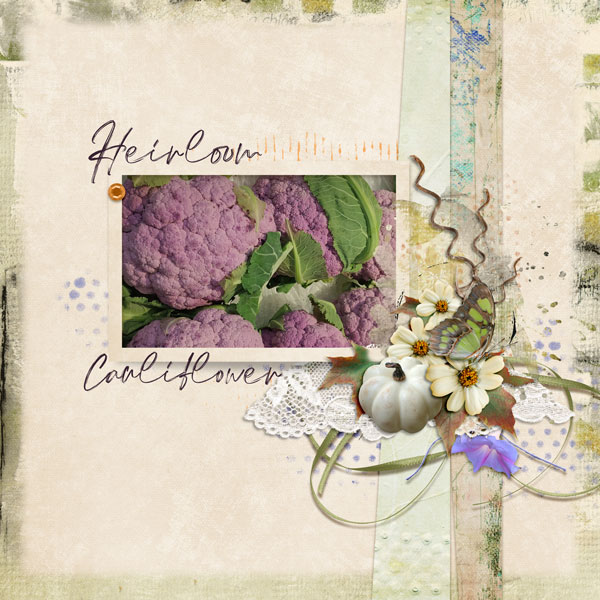 Heirloom Cauliflower