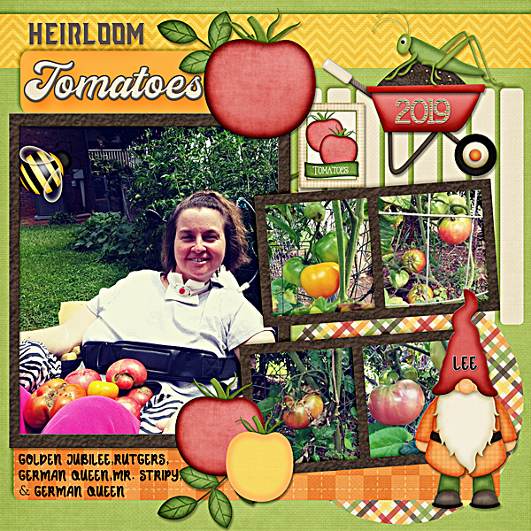 Heirloom tomatoes