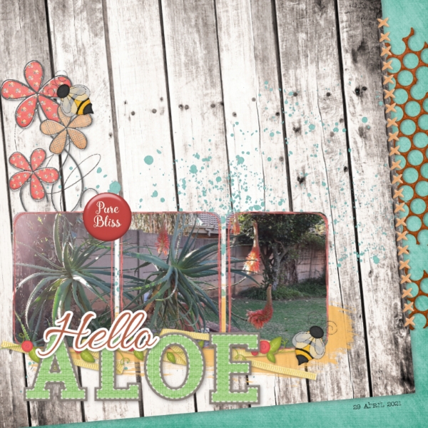 Hello Aloe