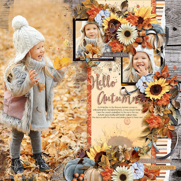 hello Autumn