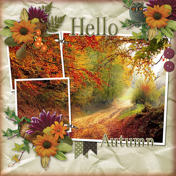 Hello Autumn