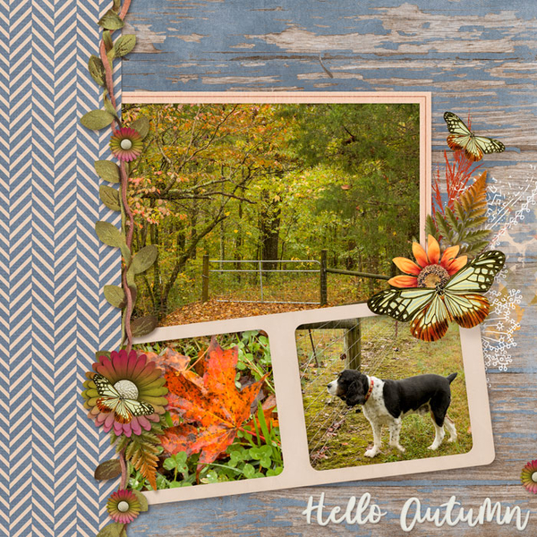 Hello Autumn