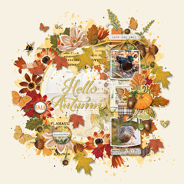 Hello Autumn