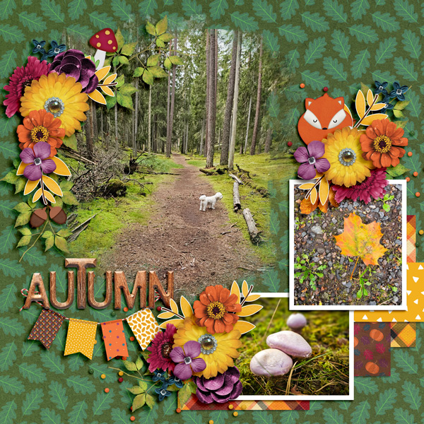 Hello Autumn