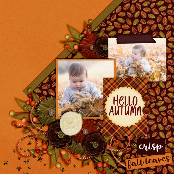 Hello-Autumn2