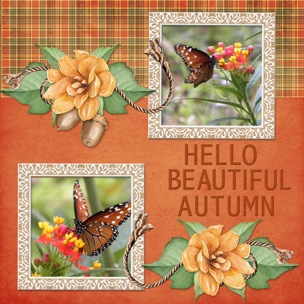 Hello Beautiful Autumn