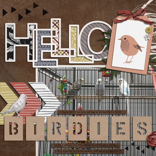 Hello Birdies
