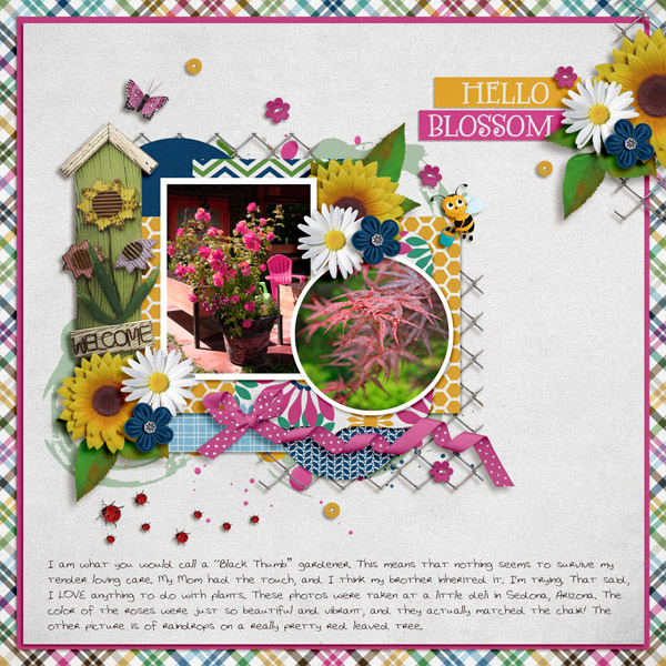 Hello Blossoms!