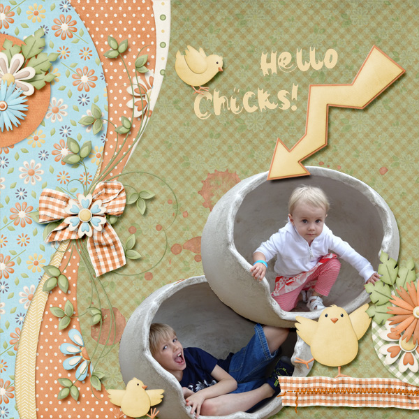 Hello Chicks!