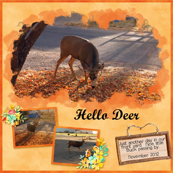 Hello Deer
