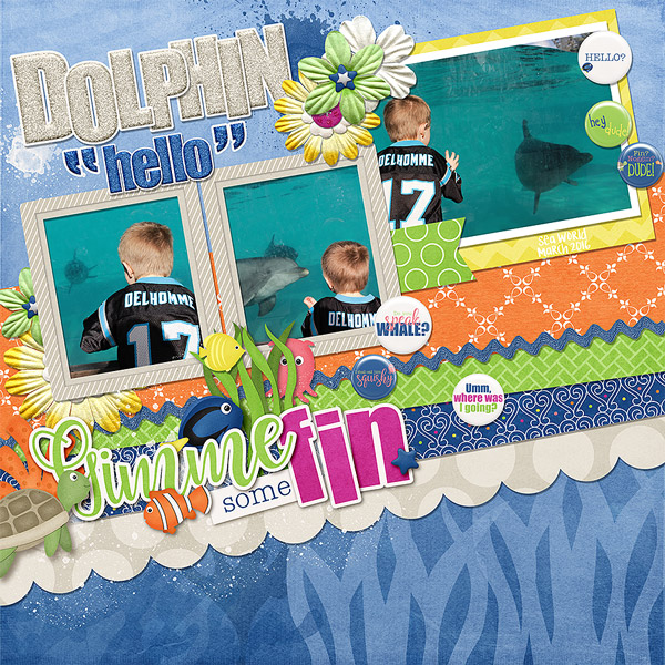 Hello Dolphin