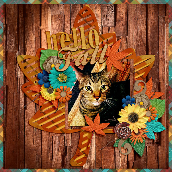 hello fall