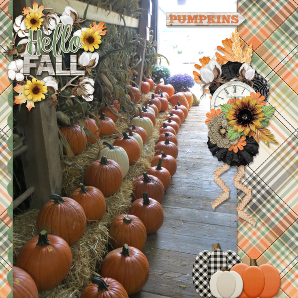 Hello Fall