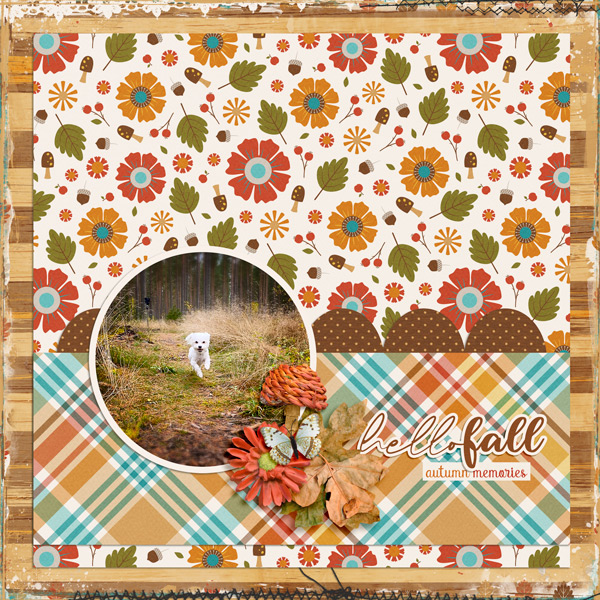 Hello Fall!
