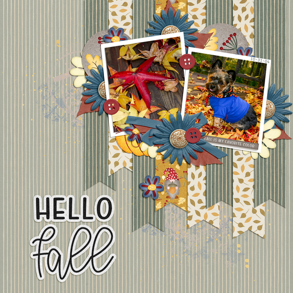 Hello Fall