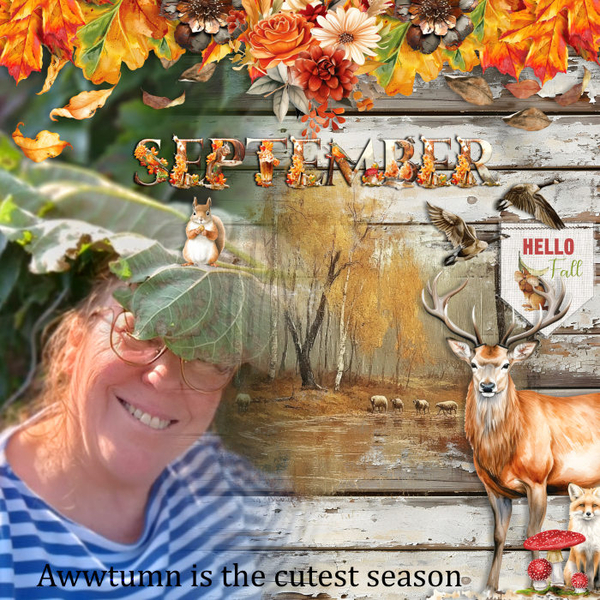 Hello Fall