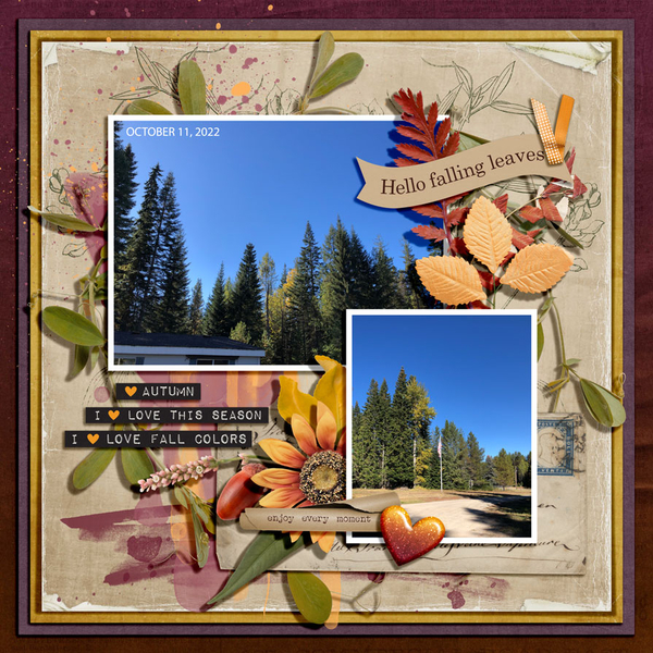 HELLO FALLING LEAVES