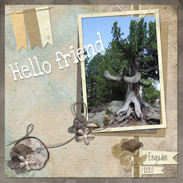Hello Friend