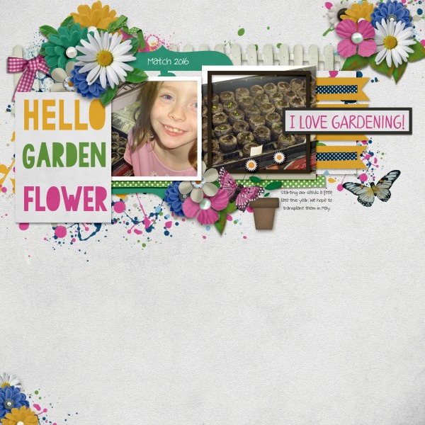 Hello Garden Flower