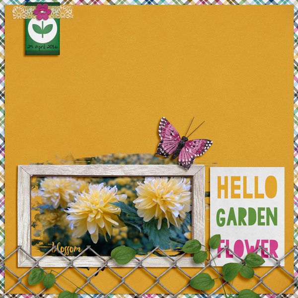 Hello Garden Flower