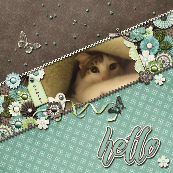 Hello, Gemini