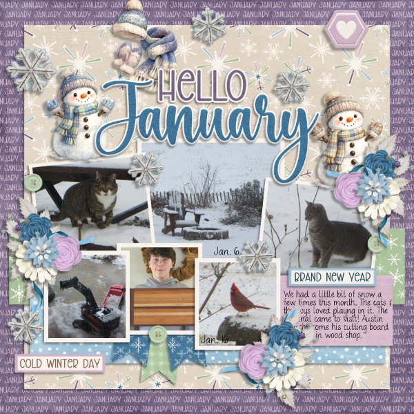 Hello January