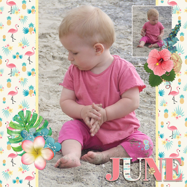 hello june